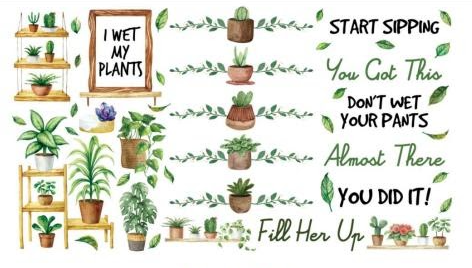 I wet my Plants