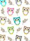 Owls are a Hoot! Pen Wrap